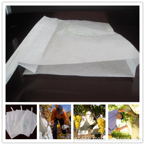 Grpae growing paper bag cheap price